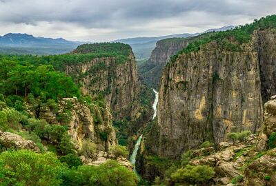 ANCIENT SELGE + TAZI CANYON + ADAM ROCKS TOUR