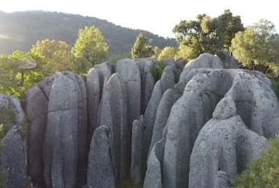 ANCIENT SELGE + TAZI CANYON + ADAM ROCKS TOUR