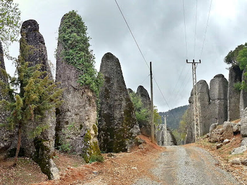 ANCIENT SELGE + TAZI CANYON + ADAM ROCKS TOUR