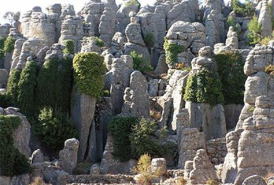 ANCIENT SELGE + TAZI CANYON + ADAM ROCKS TOUR