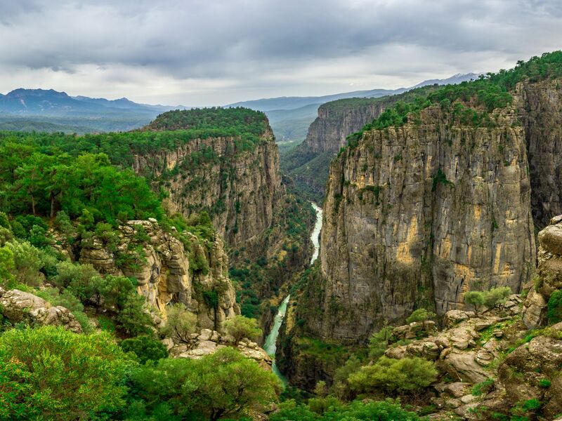 ANCIENT SELGE + TAZI CANYON + ADAM ROCKS TOUR