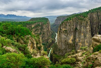 ANCIENT SELGE + TAZI CANYON + ADAM ROCKS TOUR